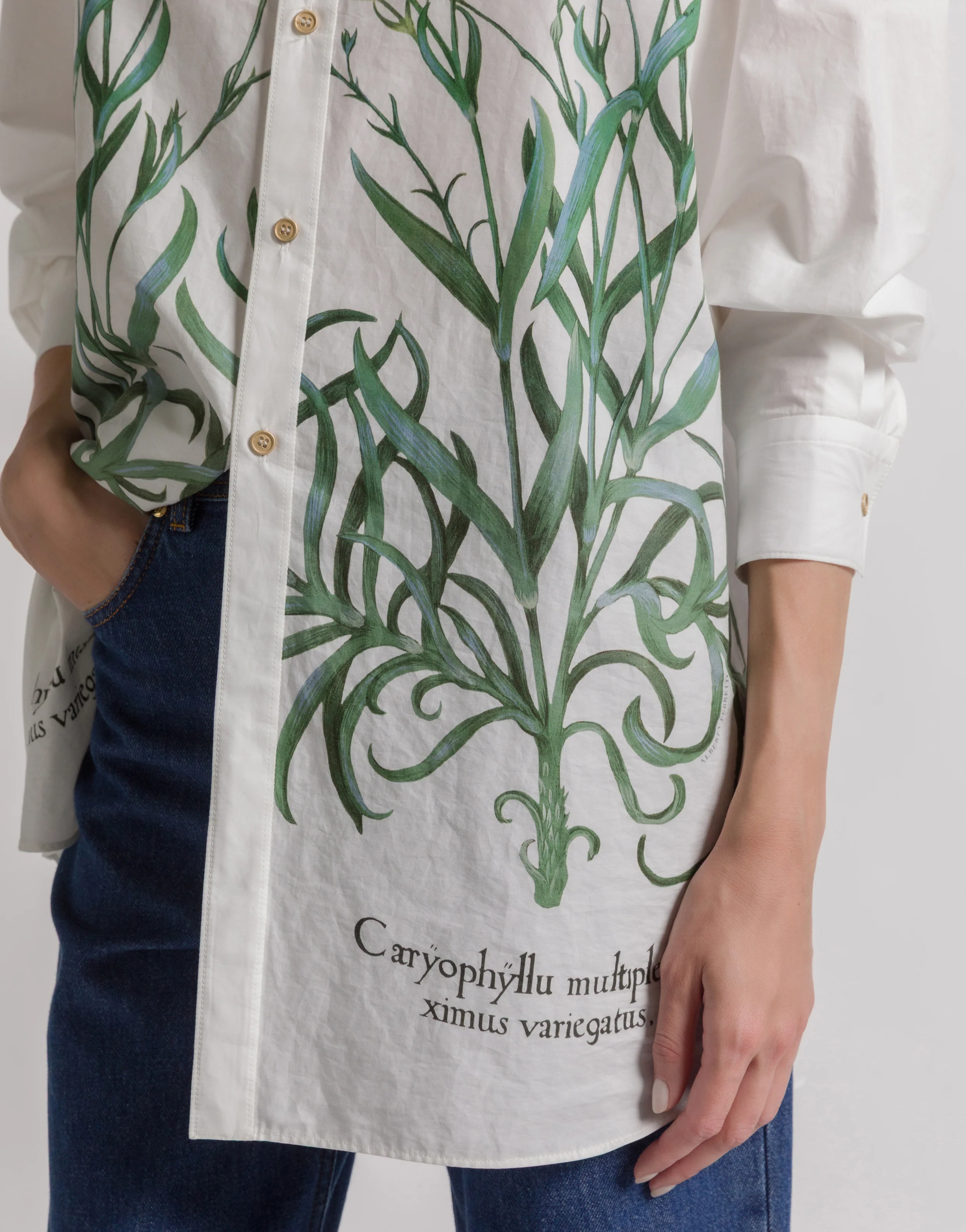 Camicia in cotone con stampa Herbarium - Image 4