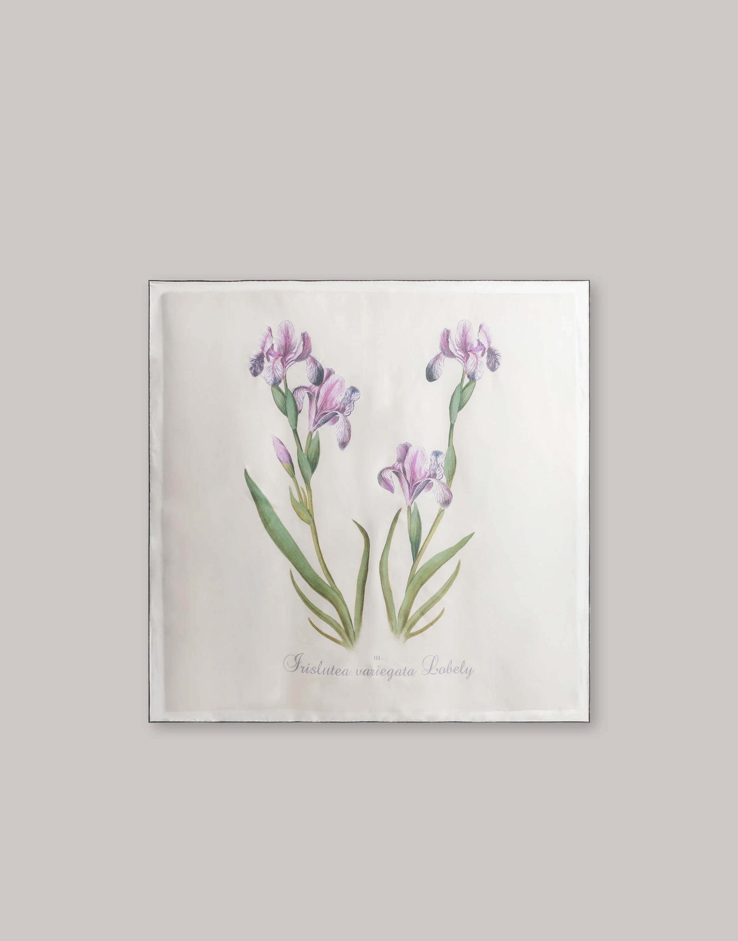Foulard in seta con stampa a cardo - Image 2