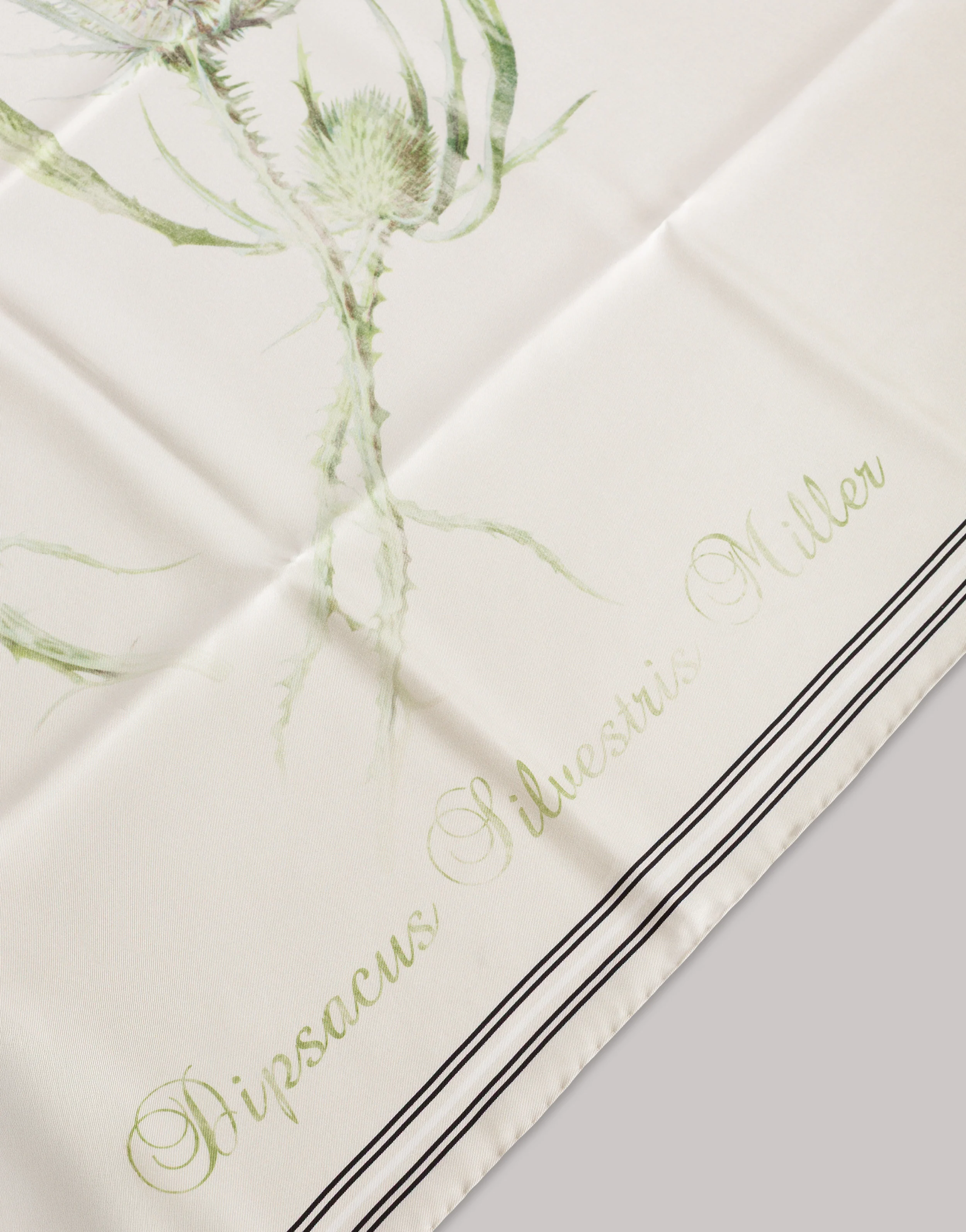 Foulard in seta con stampa a cardo - Image 2